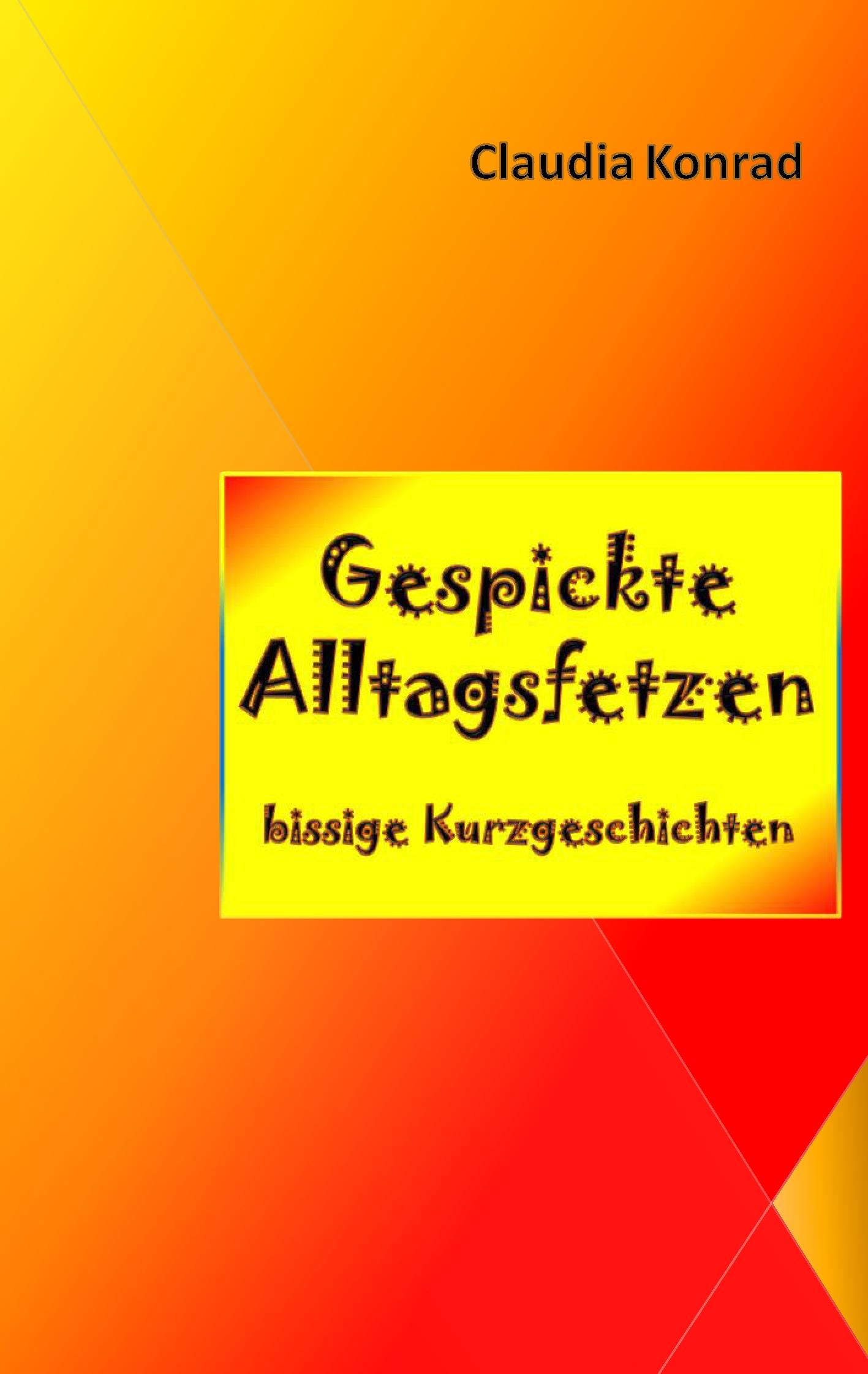 Vorderes Coverbild Gespickte Alltagsfetzen