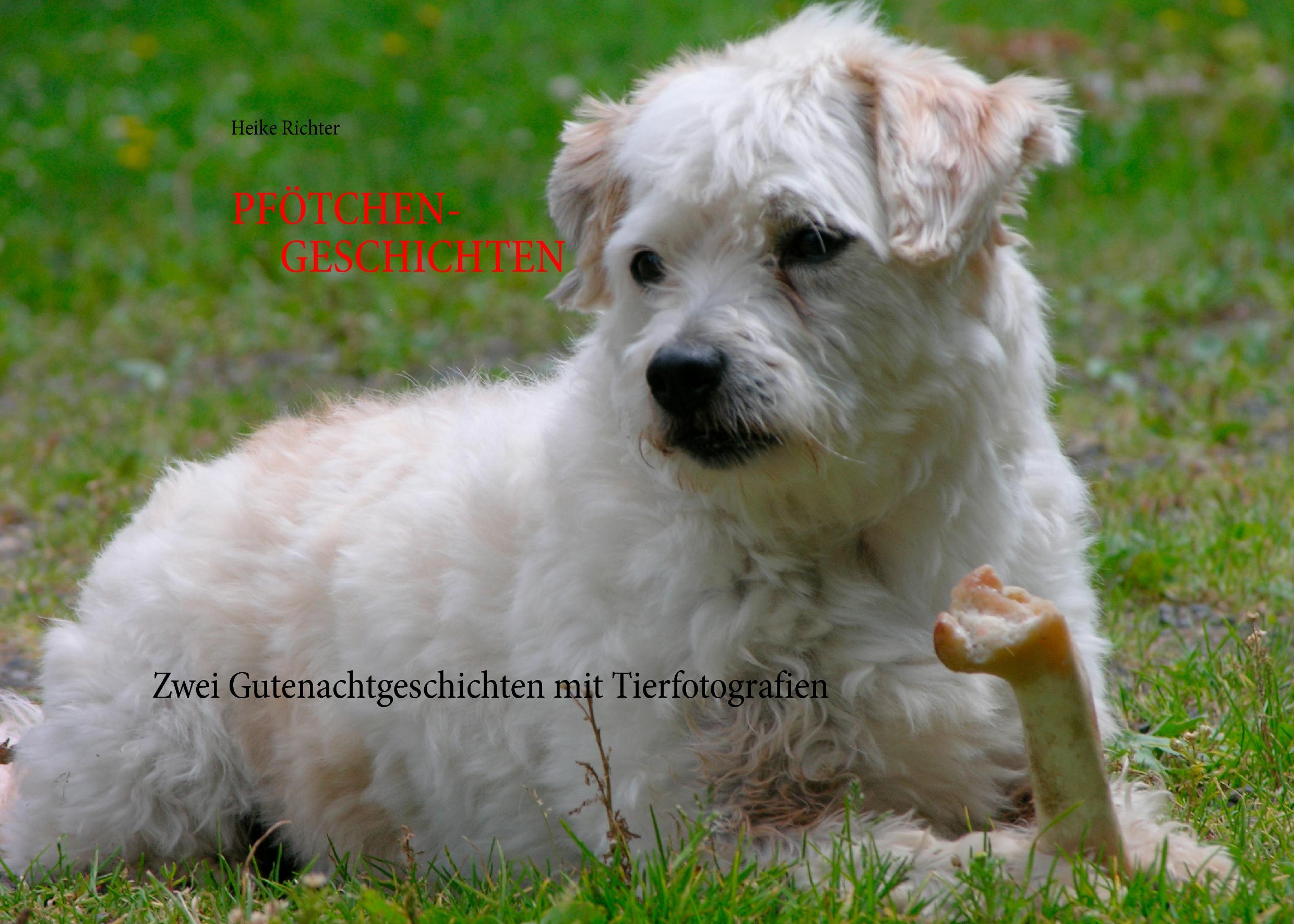 Vorderes Coverbild "Pfötchen-Geschichten"