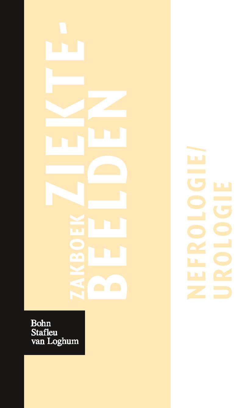 Vorderes Coverbild Zakboek Ziektebeelden