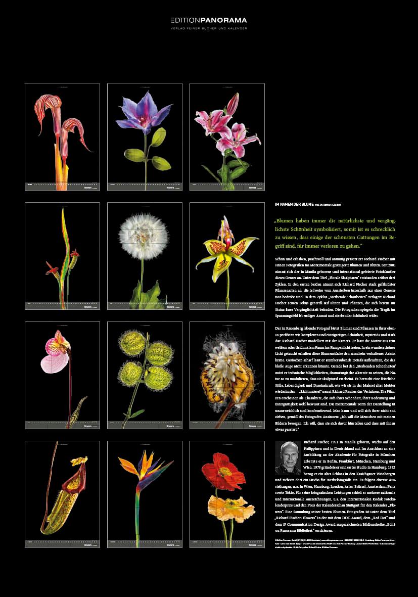 Beispielinhalt (Bild) Flowers