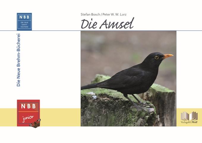 Vorderes Coverbild Die Amsel