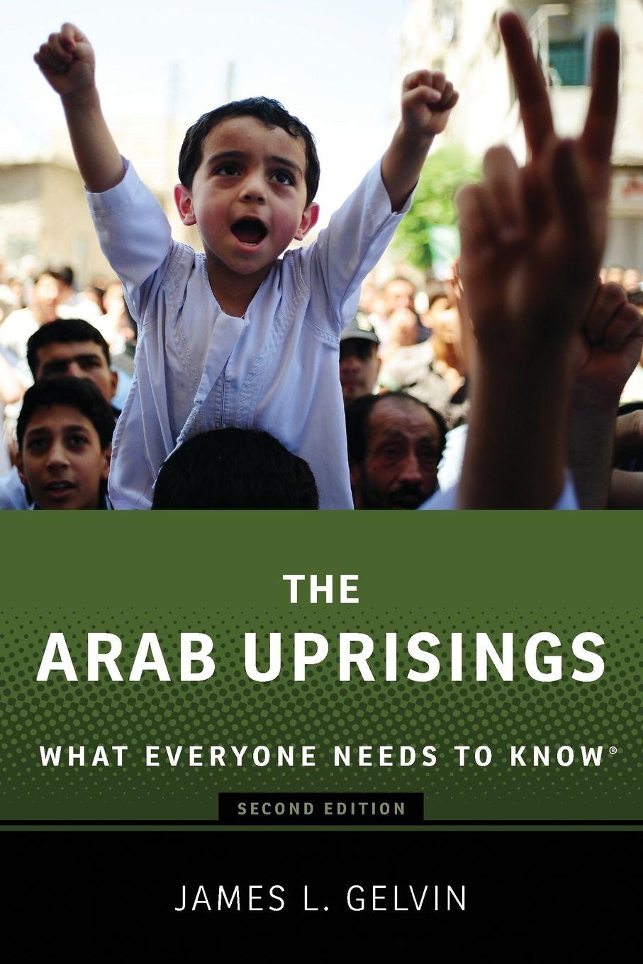 Vorderes Coverbild The Arab Uprisings