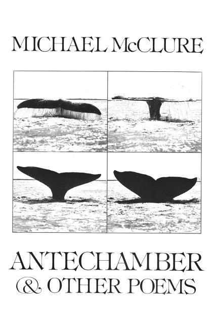 Vorderes Coverbild Antechamber