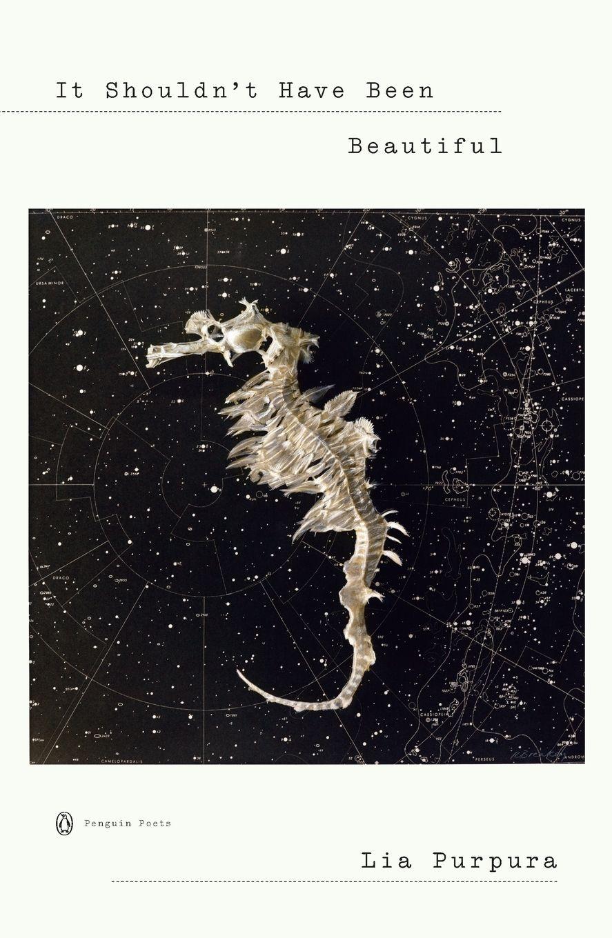 Vorderes Coverbild It Shouldn't Have Been Beautiful