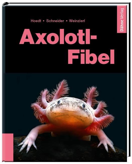 Vorderes Coverbild Axolotl-Fibel