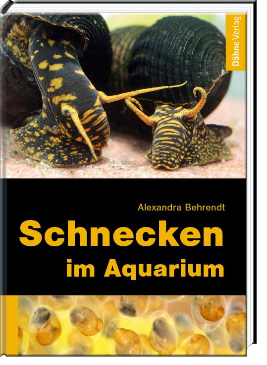Vorderes Coverbild Schnecken im Aquarium