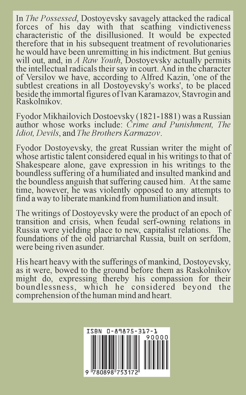 Rückseitencover A Raw Youth