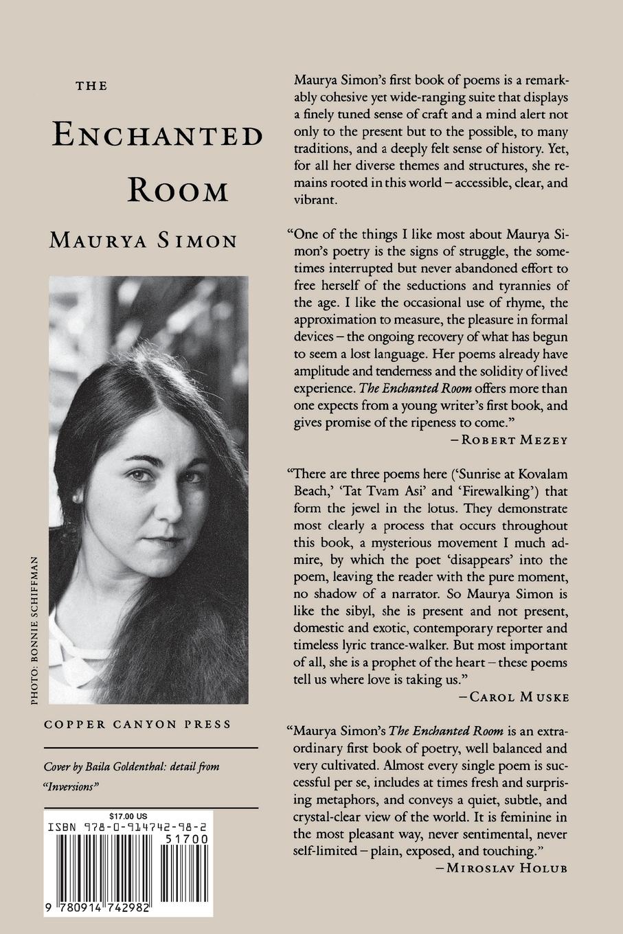 Rückseitencover The Enchanted Room