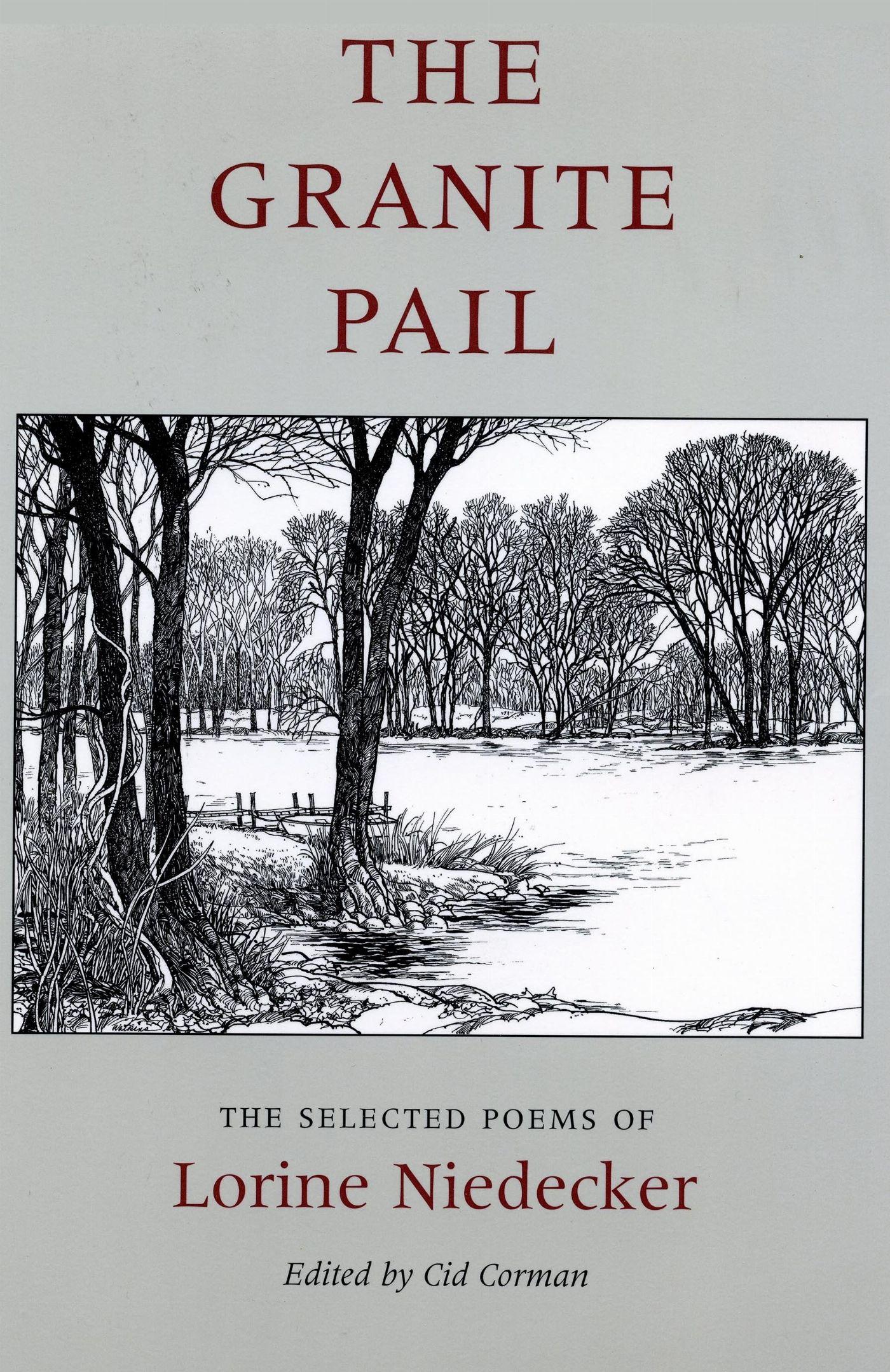 Vorderes Coverbild The Granite Pail