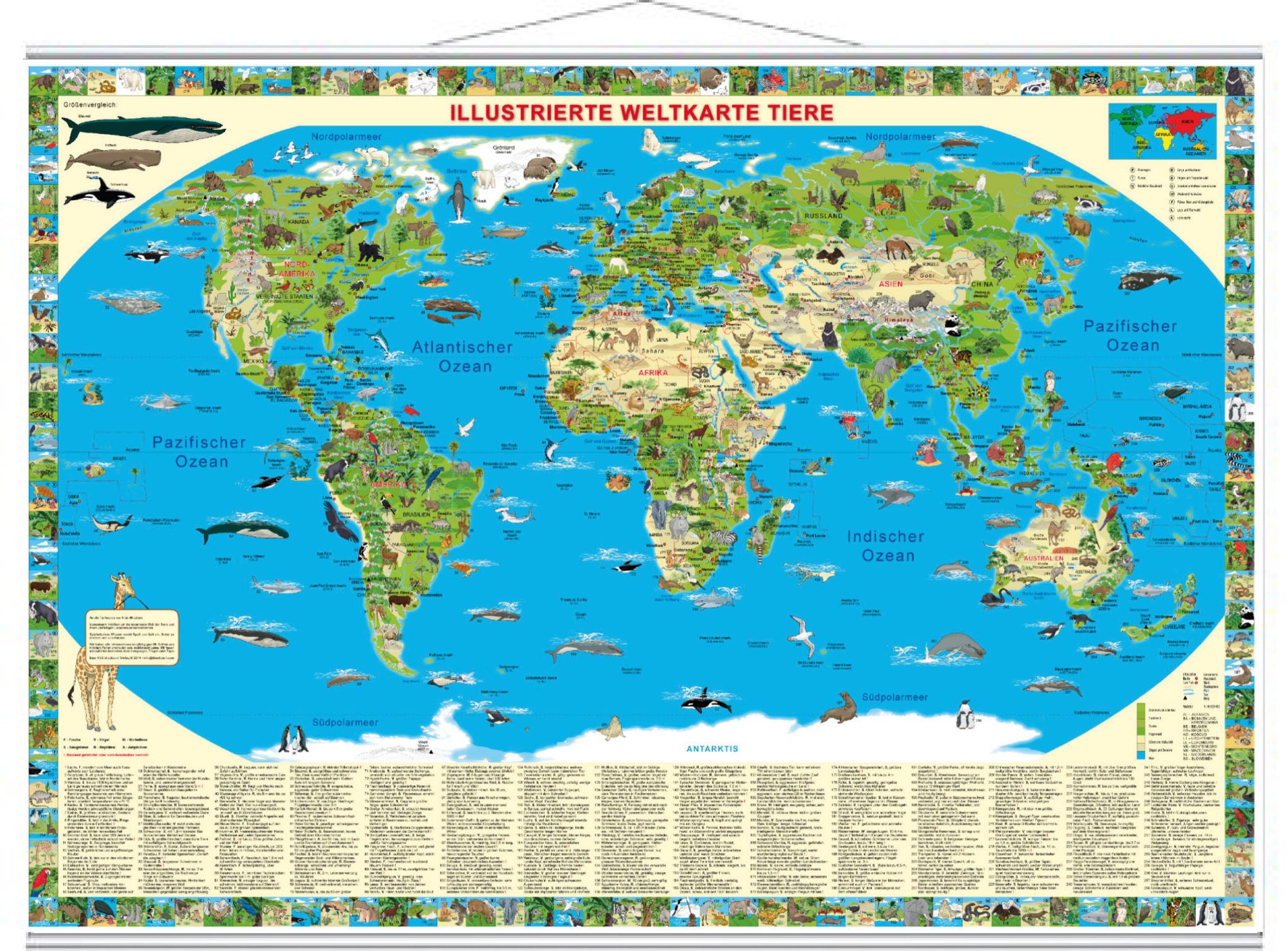Vorderes Coverbild Illustrierte Weltkarte Tiere