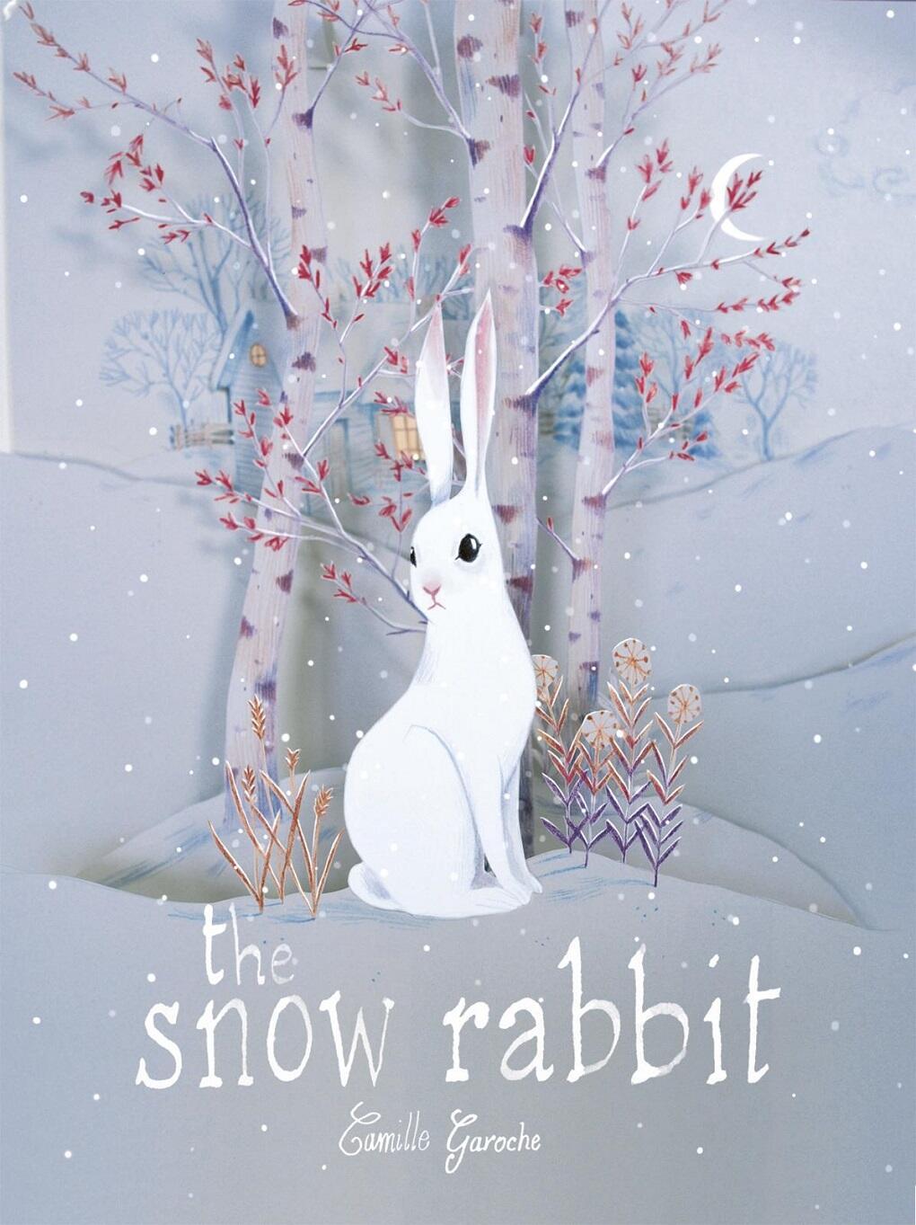 Vorderes Coverbild The Snow Rabbit