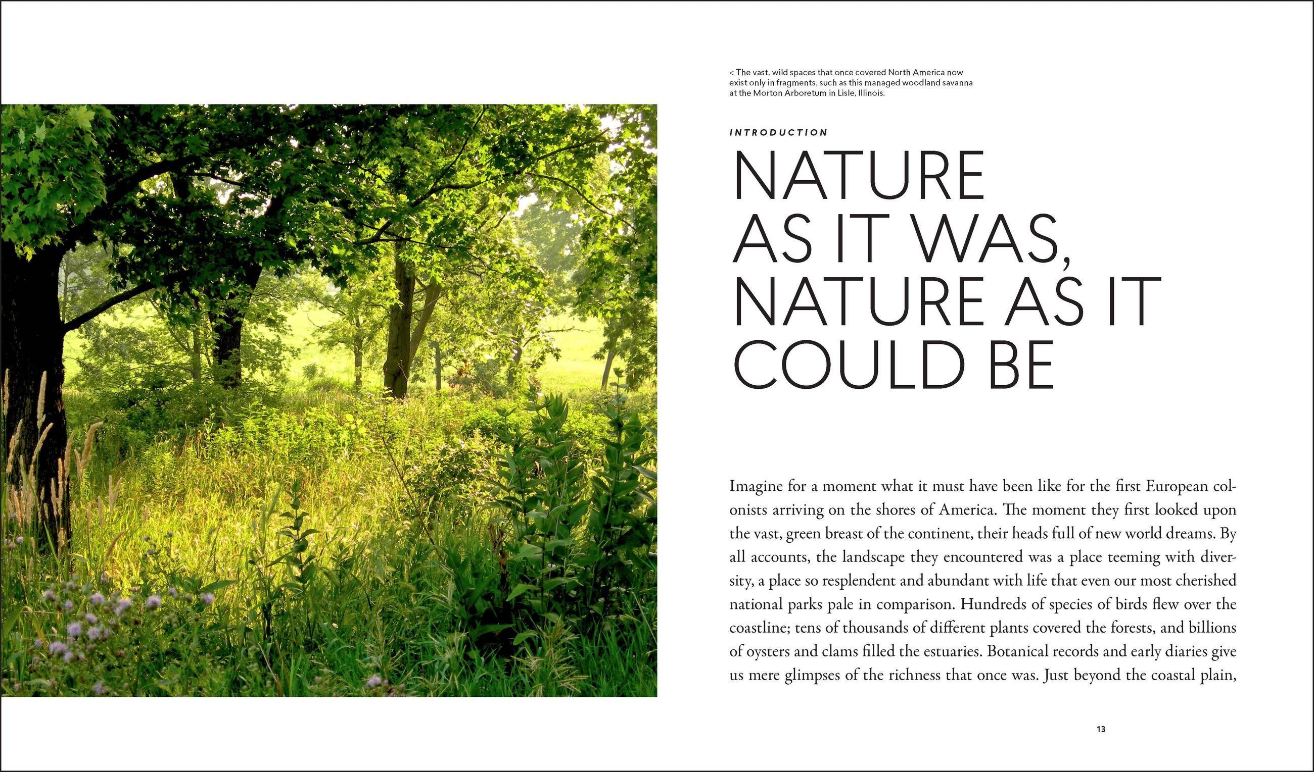 Beispielinhalt (Bild) Planting in a Post-Wild World