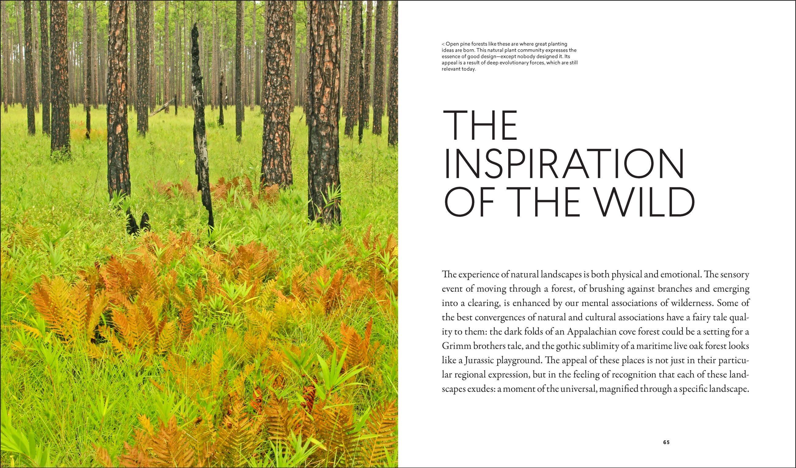 Beispielinhalt (Bild) Planting in a Post-Wild World