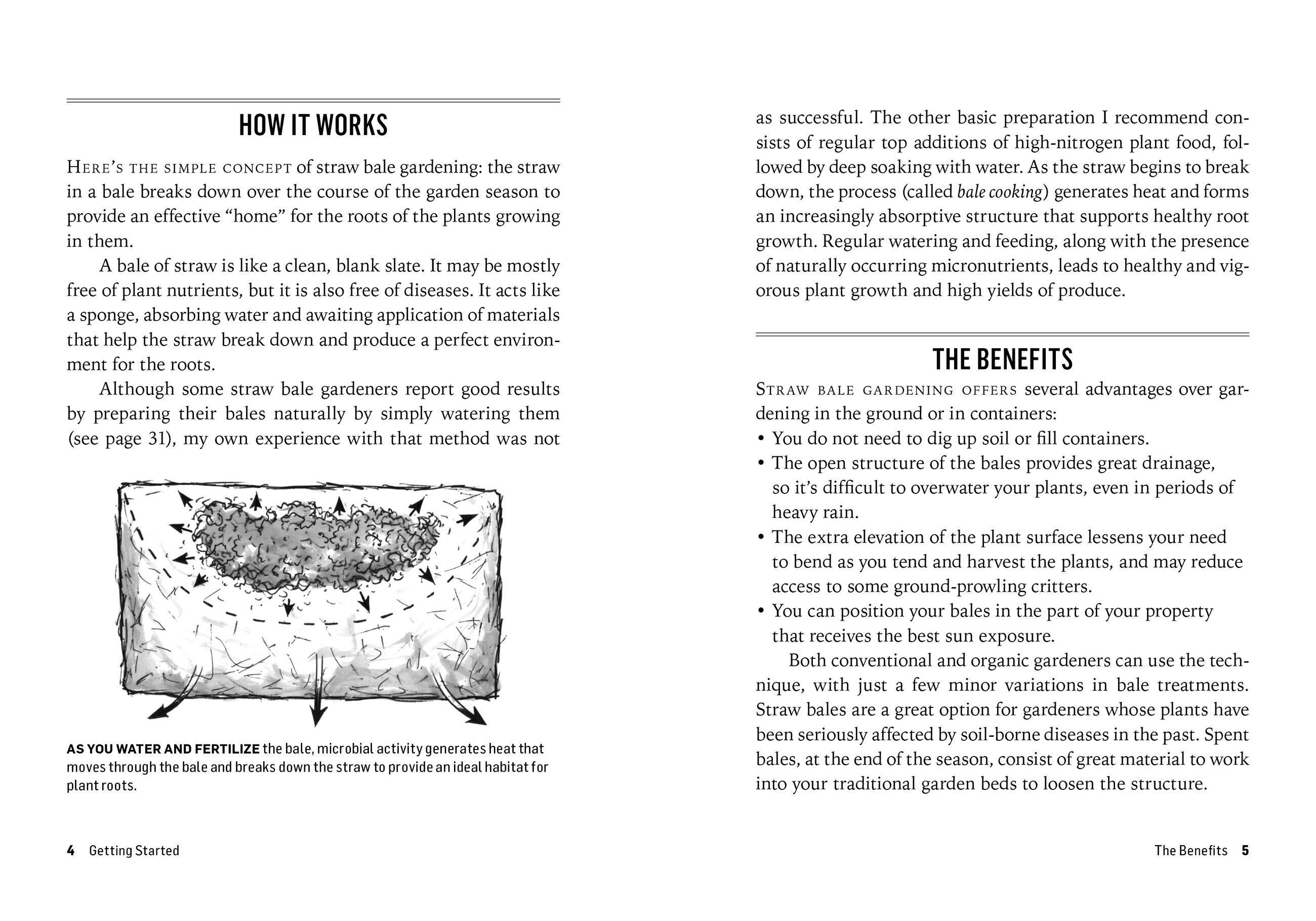 Beispielinhalt (Bild) Growing Vegetables in Straw Bales