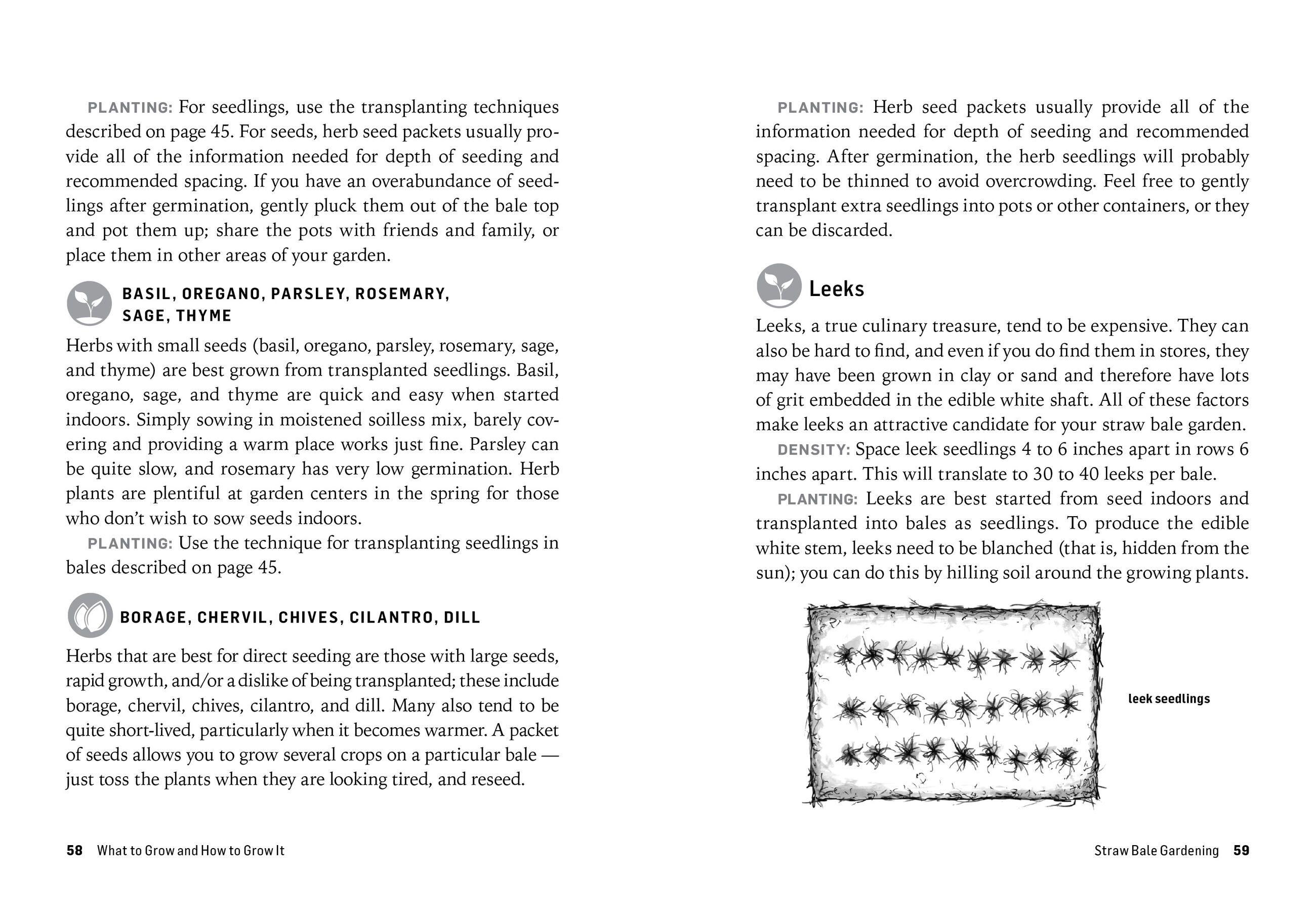 Beispielinhalt (Bild) Growing Vegetables in Straw Bales