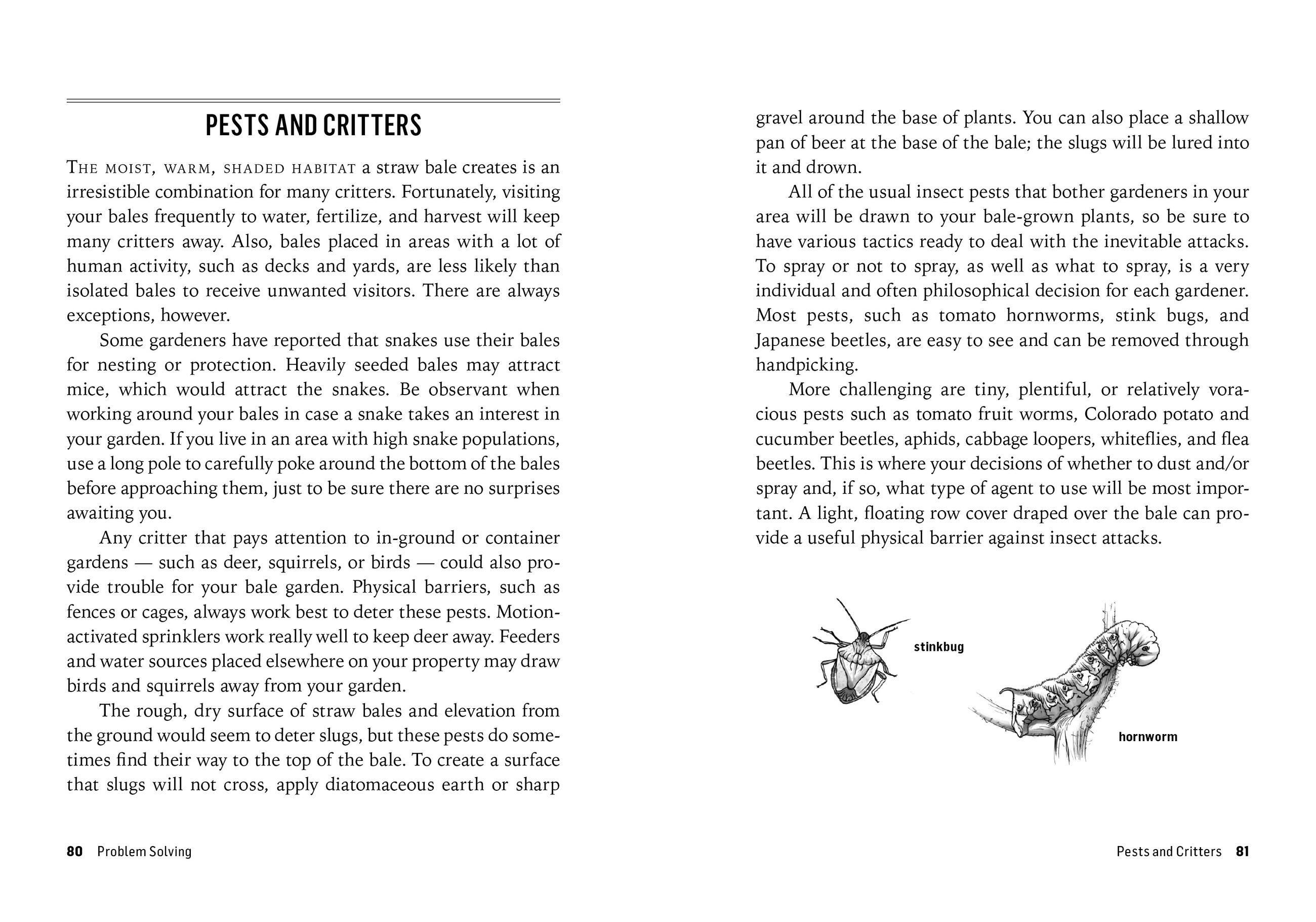 Beispielinhalt (Bild) Growing Vegetables in Straw Bales