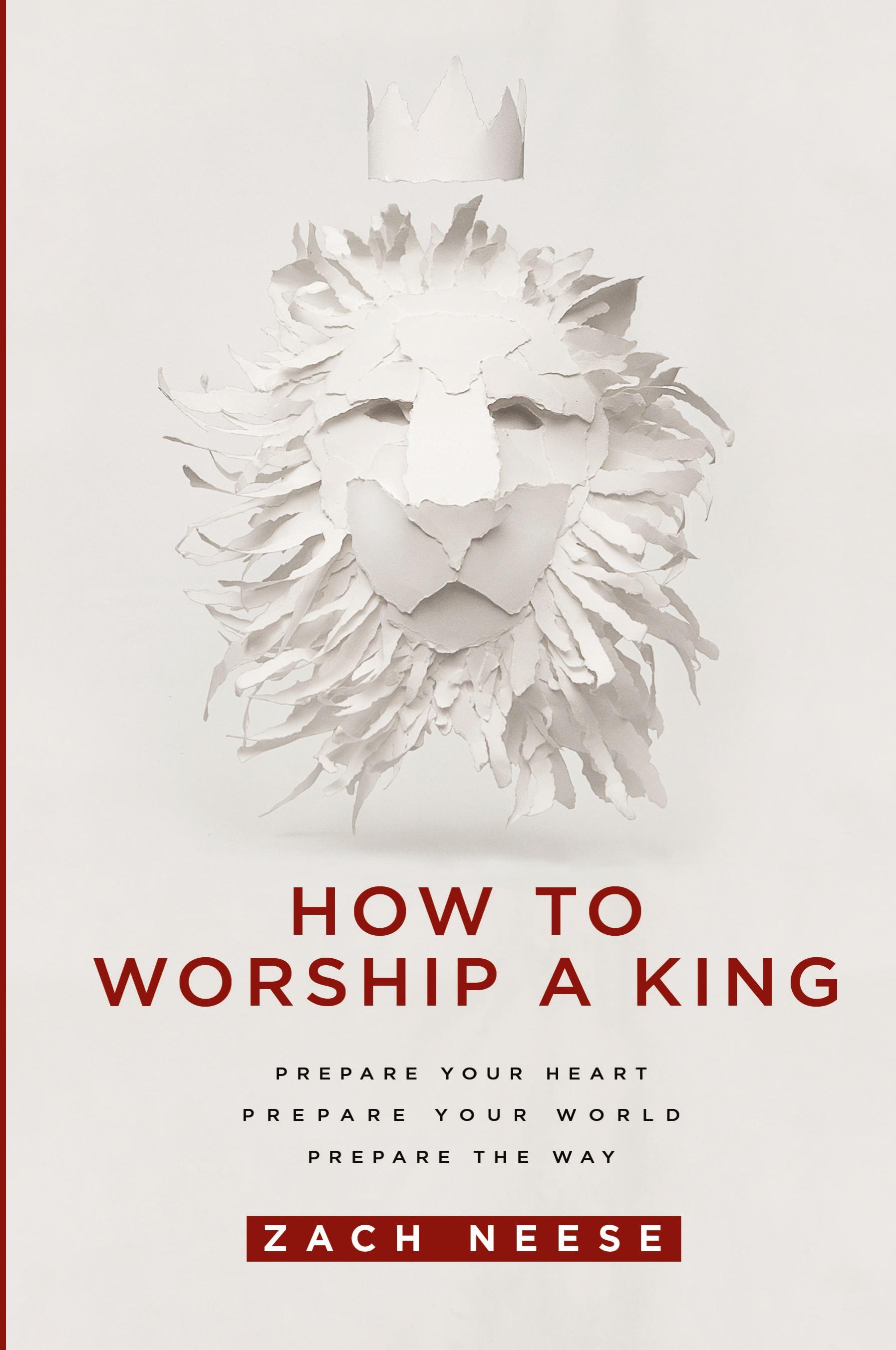 Vorderes Coverbild How to Worship a King