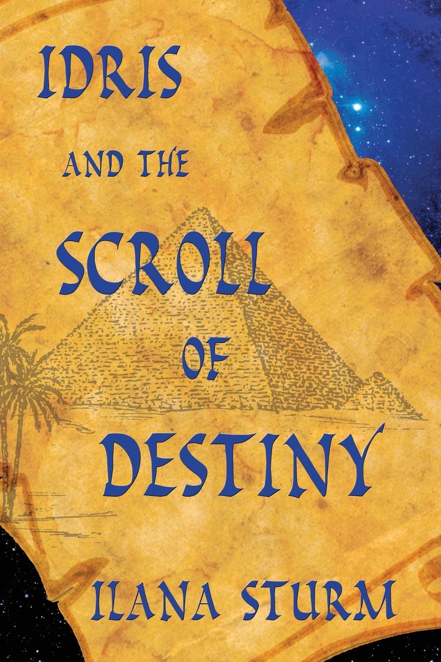 Vorderes Coverbild Idris and the Scroll of Destiny