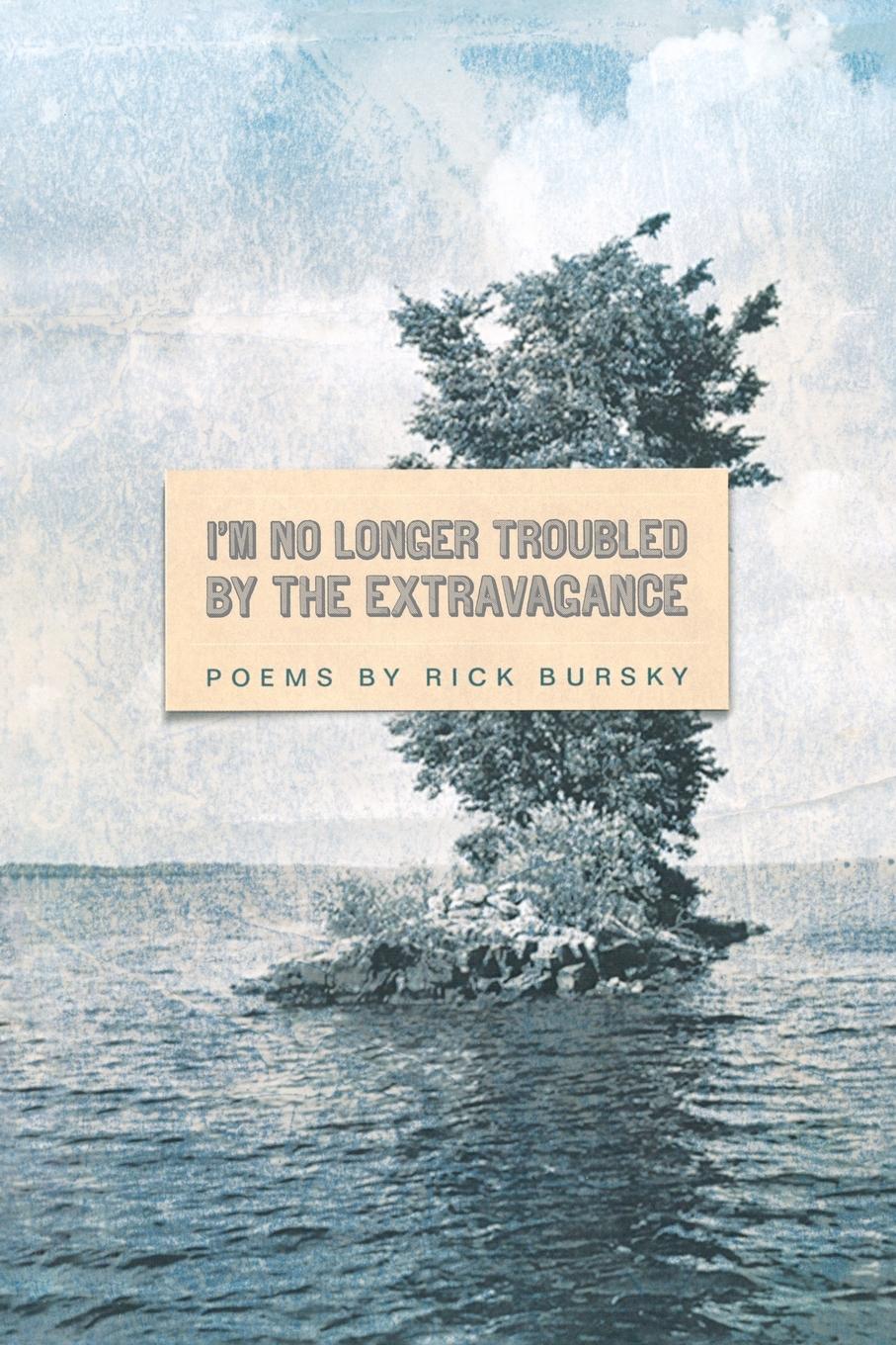 Vorderes Coverbild I'm No Longer Troubled by the Extravagance