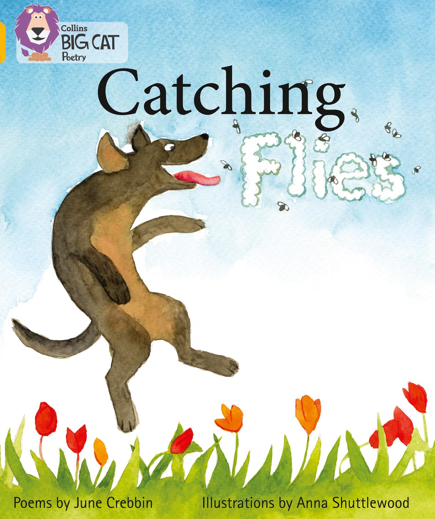 Vorderes Coverbild Catching Flies