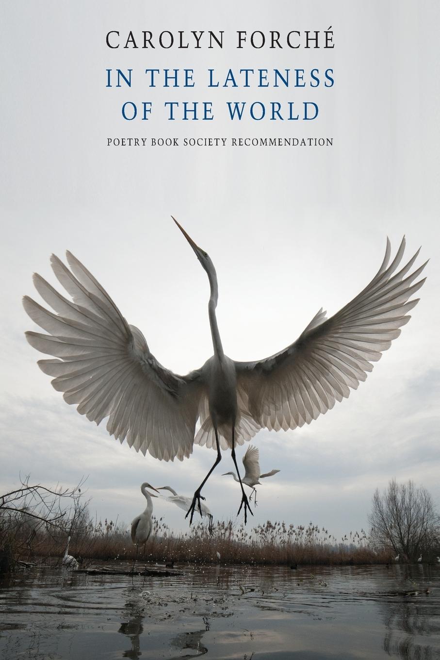 Vorderes Coverbild In the Lateness of the World