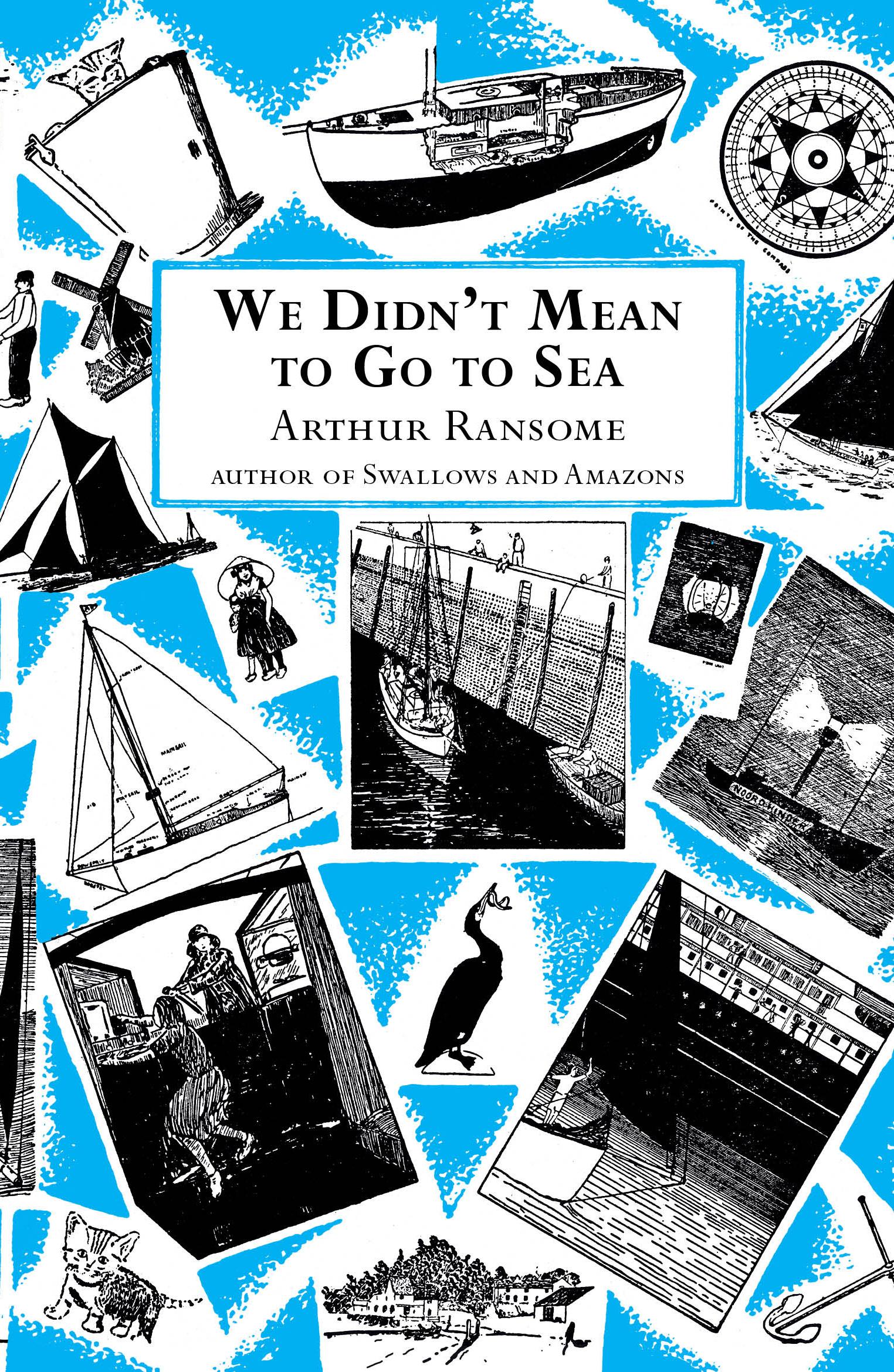Vorderes Coverbild We Didn't Mean to Go to Sea