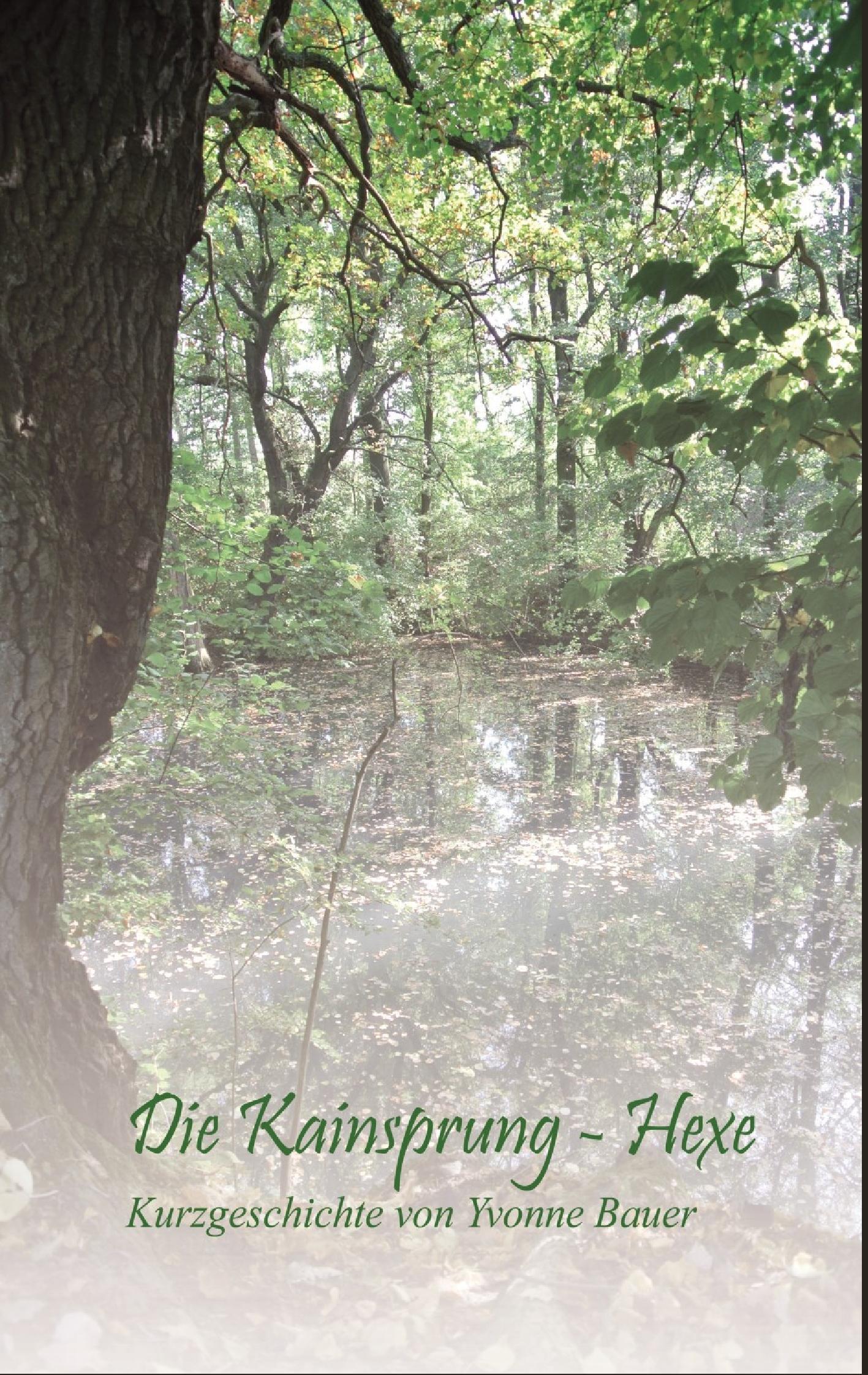 Vorderes Coverbild Die Kainsprung-Hexe