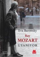 Vorderes Coverbild Bay Mozart Uyaniyor