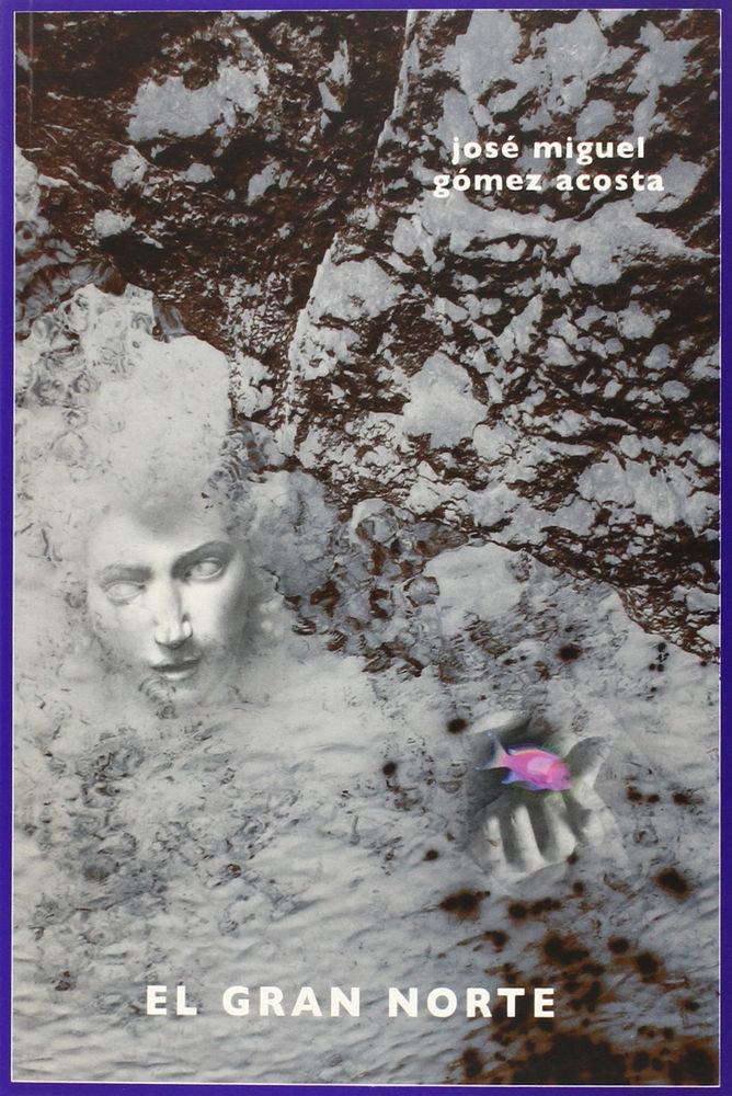 Vorderes Coverbild El gran norte