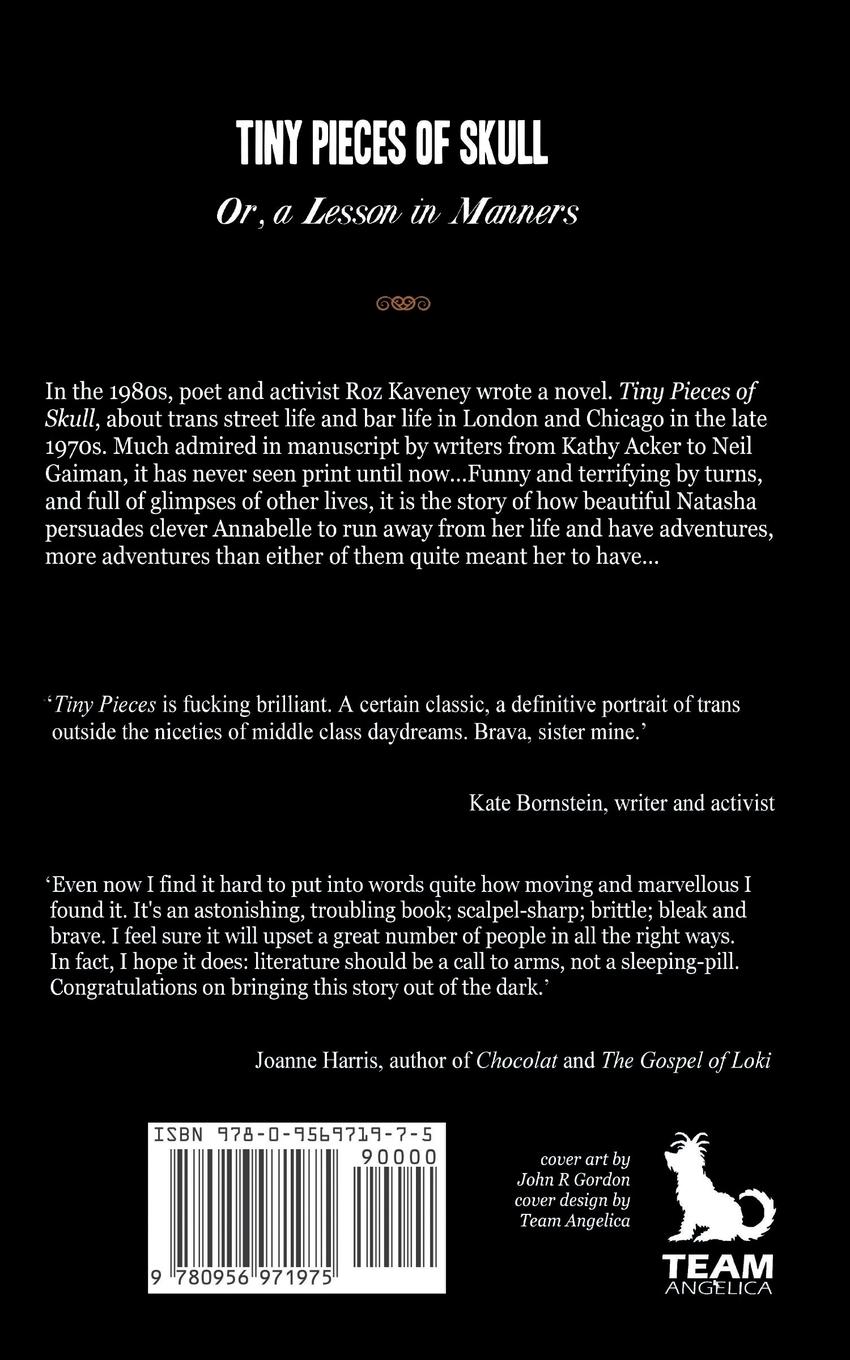 Rückseitencover Tiny Pieces of Skull