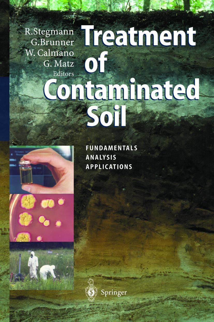 Vorderes Coverbild Treatment of Contaminated Soil