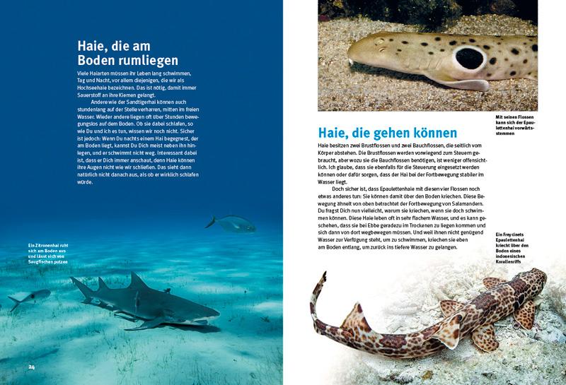 Beispielinhalt (Bild) Entdecke die Haie