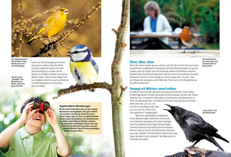 Beispielinhalt (Bild) Entdecke die Singvögel