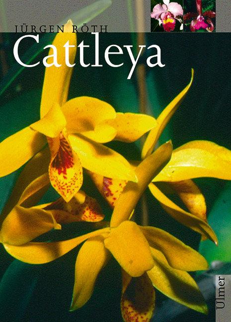 Vorderes Coverbild Cattleya
