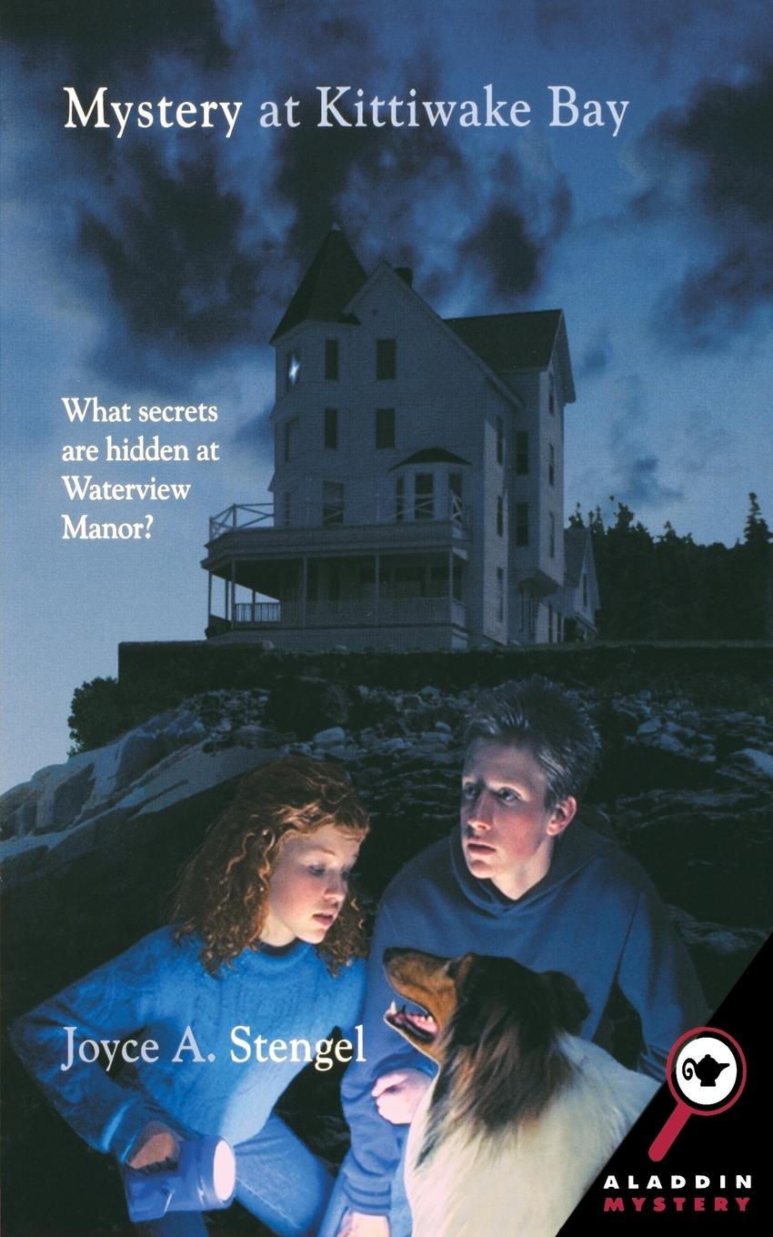 Vorderes Coverbild Mystery at Kittiwake Bay