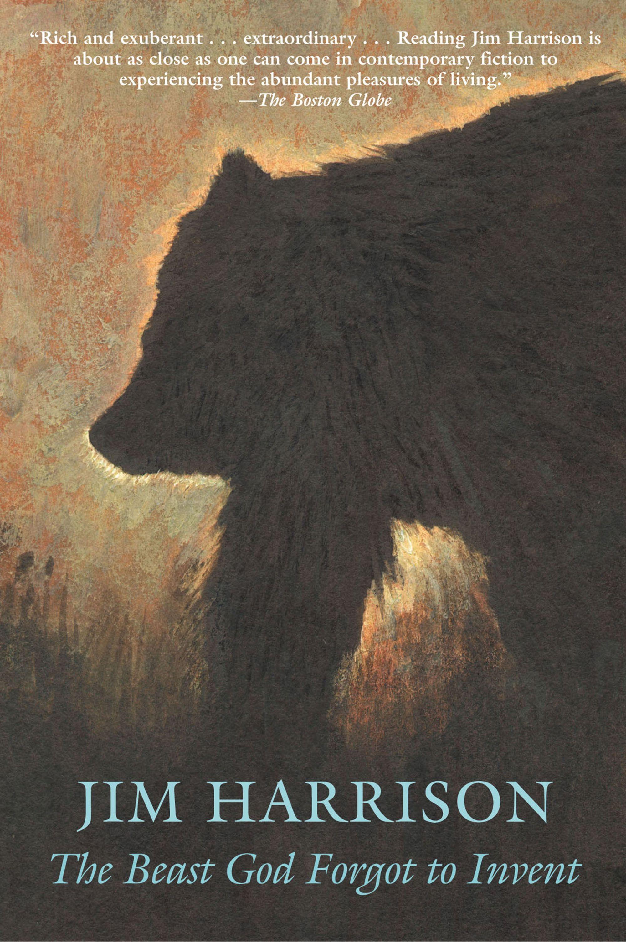 Vorderes Coverbild The Beast God Forgot to Invent