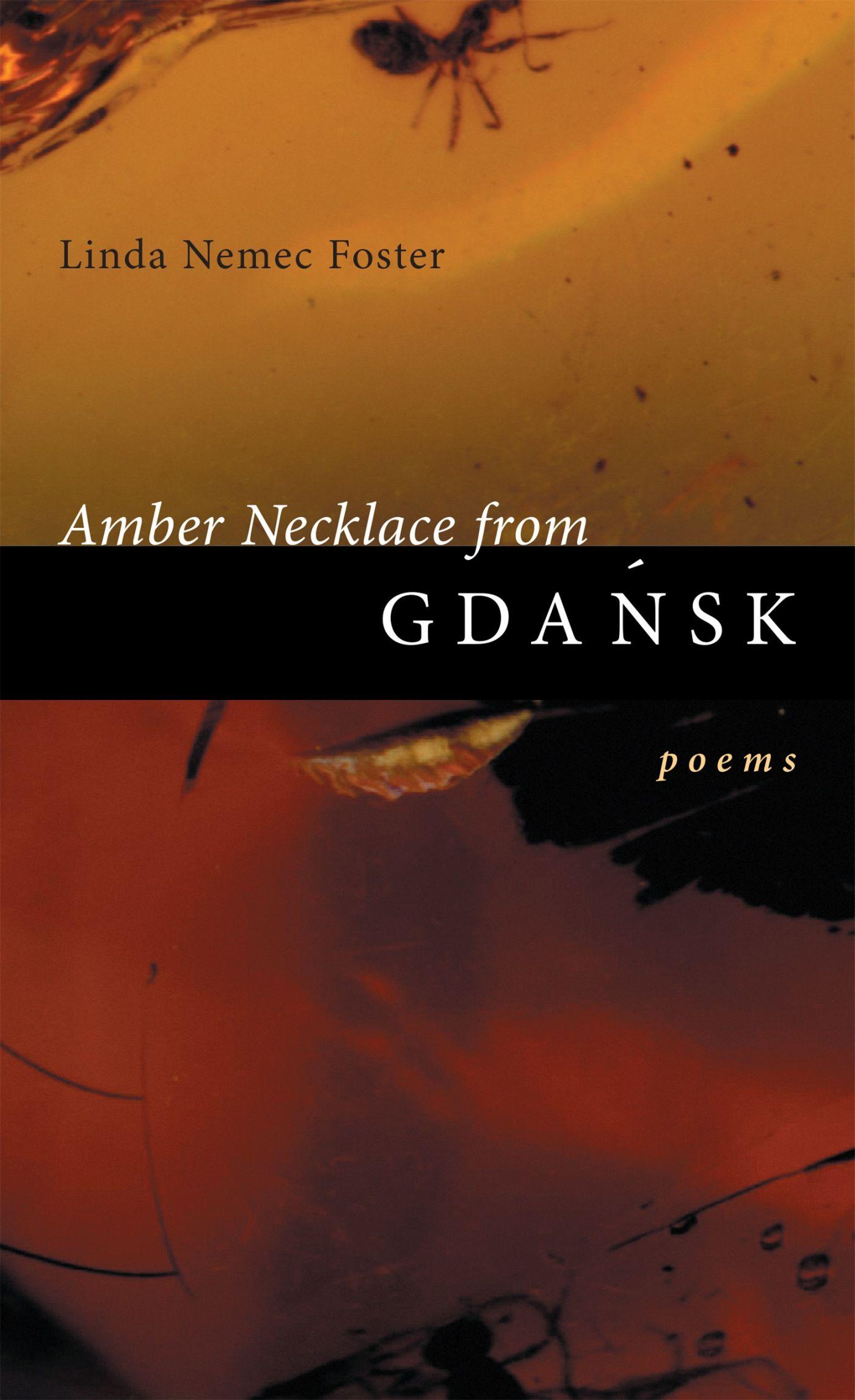 Vorderes Coverbild Amber Necklace from Gdansk