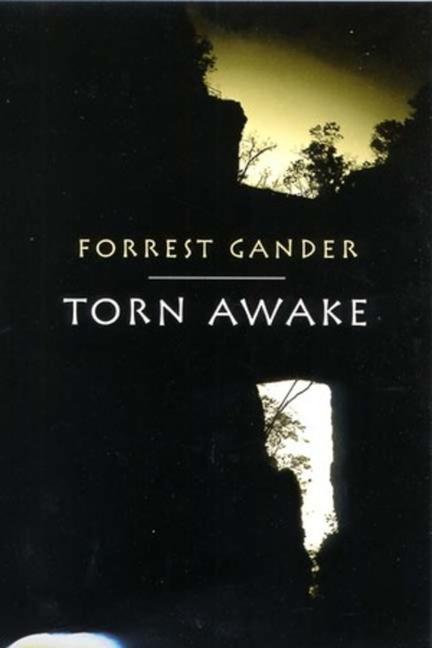 Vorderes Coverbild Torn Awake