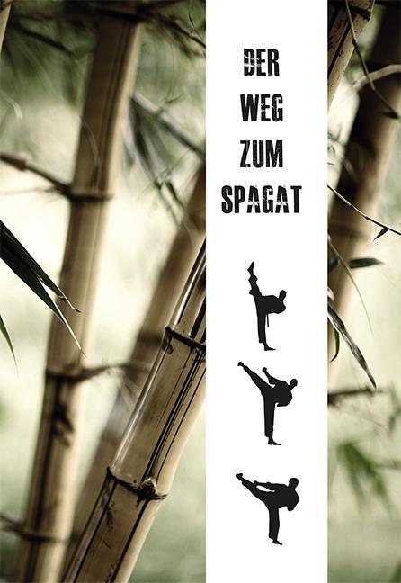 Vorderes Coverbild Der Weg zum Spagat