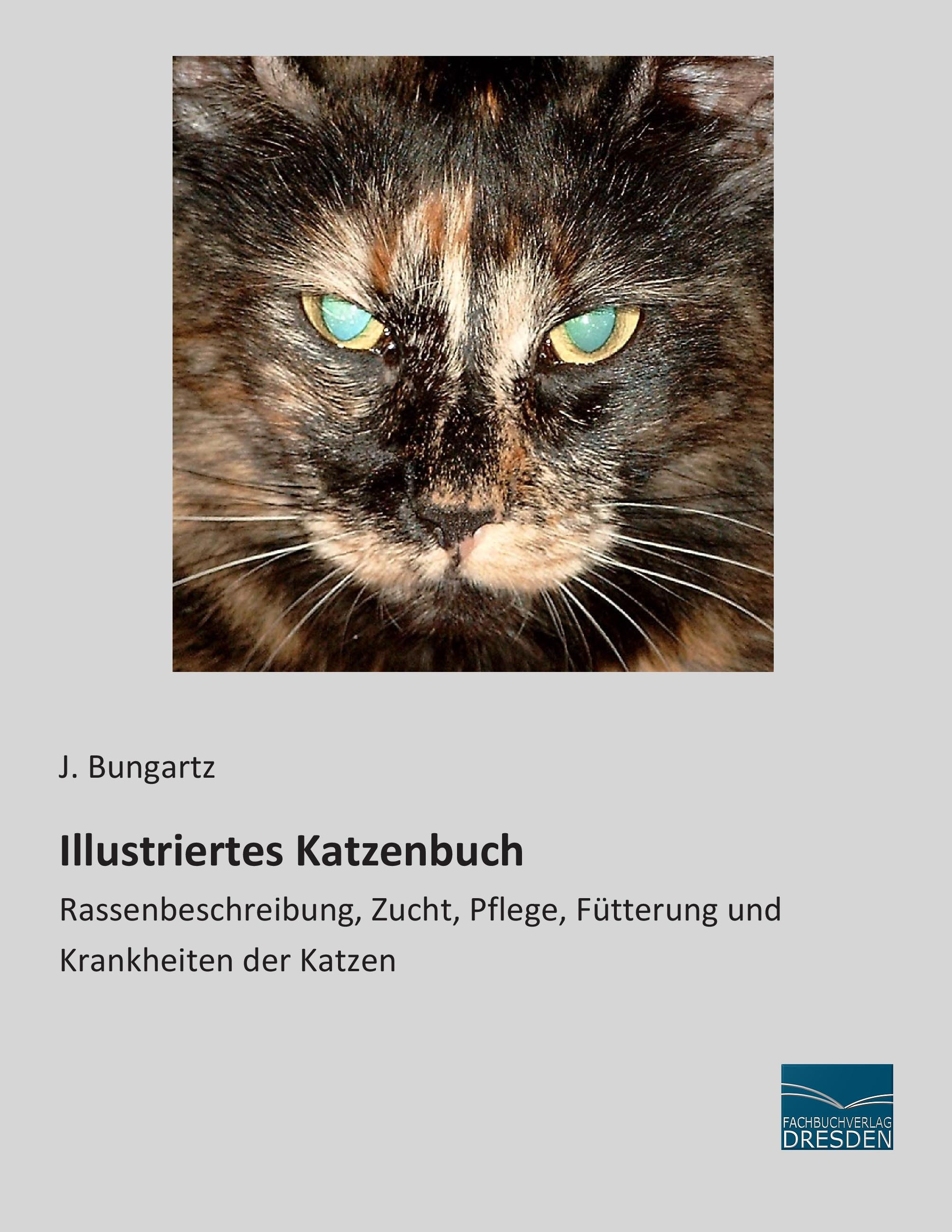 Vorderes Coverbild Illustriertes Katzenbuch