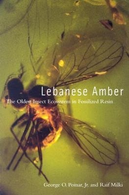 Vorderes Coverbild Lebanese Amber