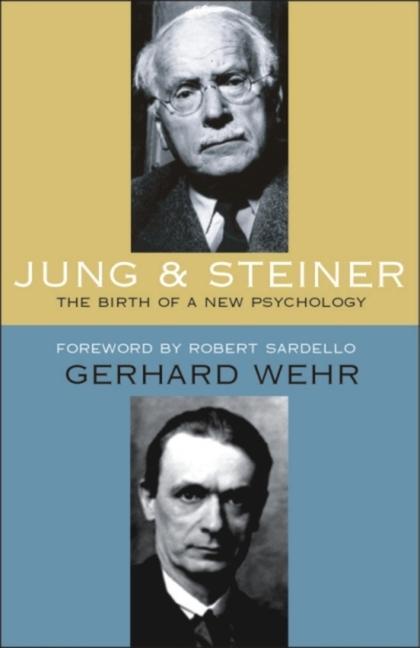 Vorderes Coverbild Jung and Steiner (P)