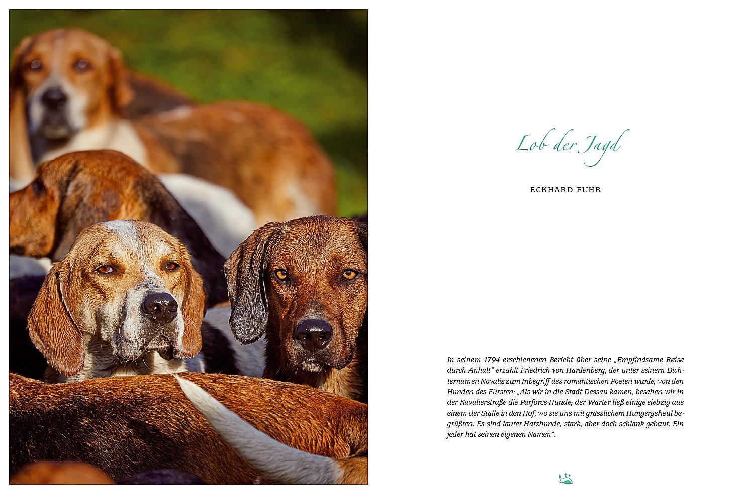 Beispielinhalt (Bild) Flora, Fauna, Gartenfreude