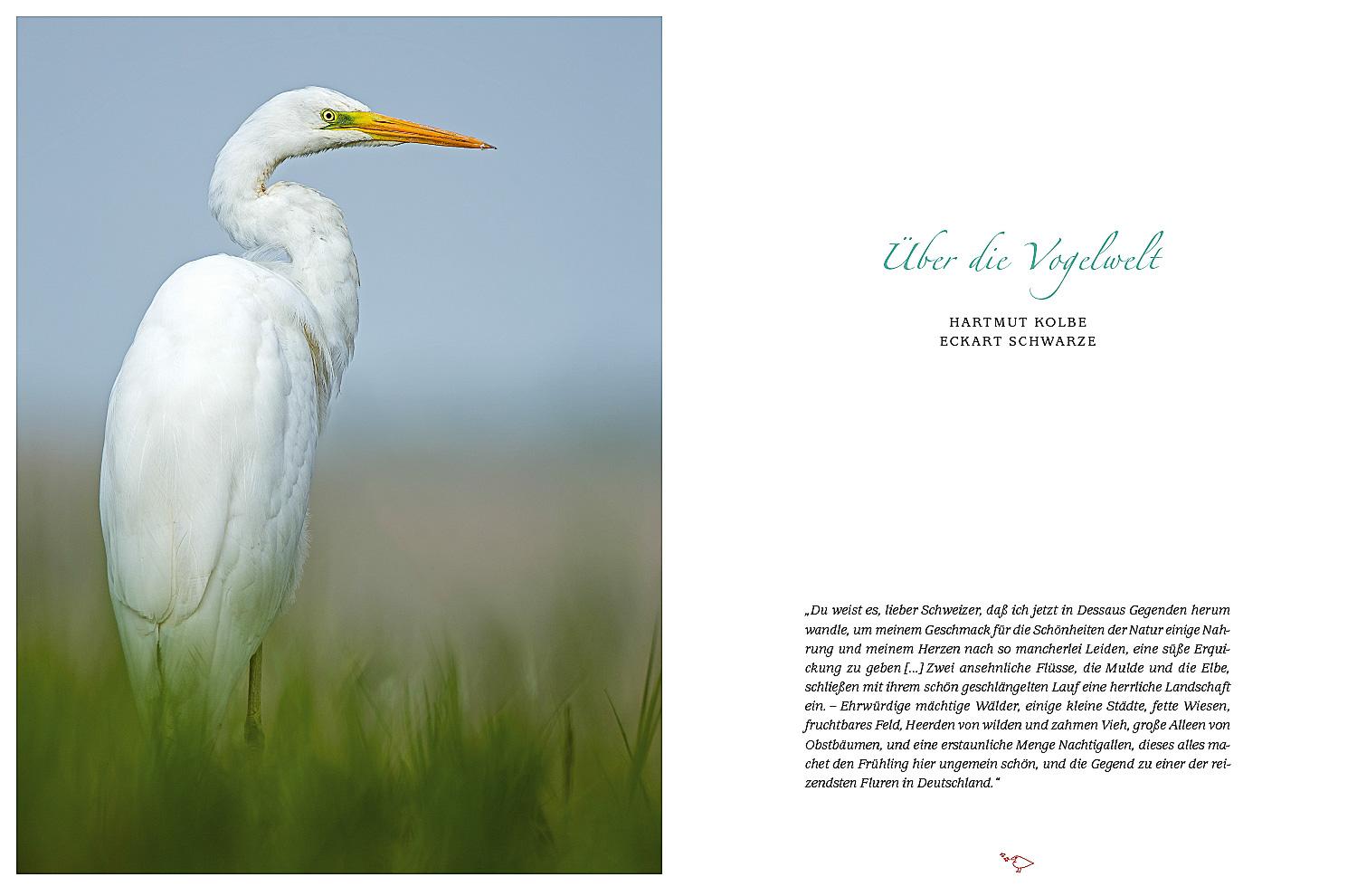 Beispielinhalt (Bild) Flora, Fauna, Gartenfreude