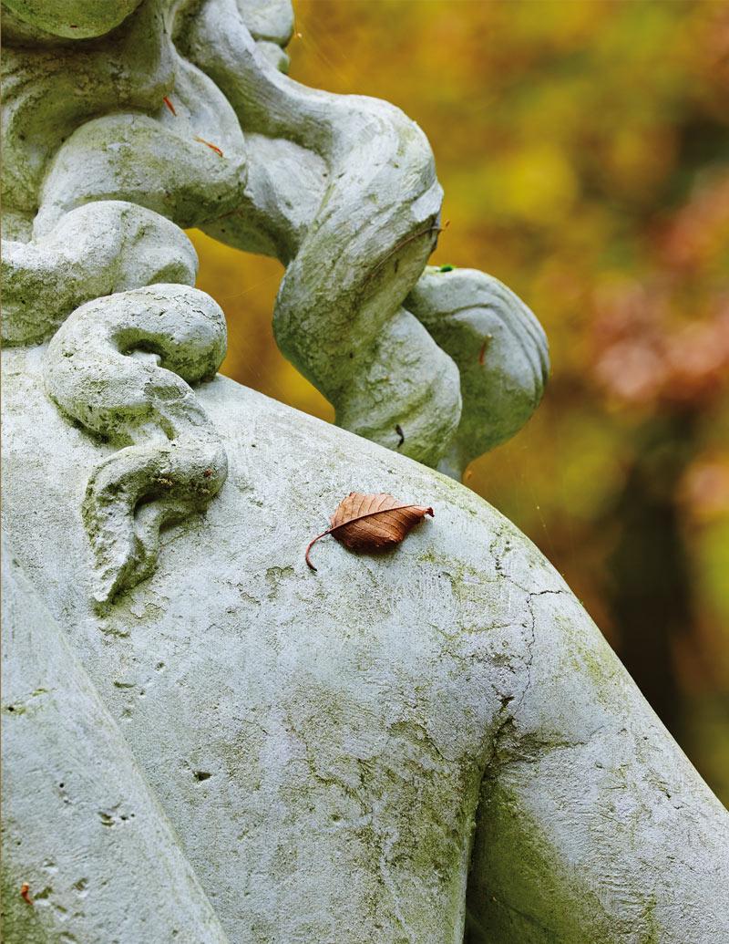 Rückseitencover Flora, Fauna, Gartenfreude