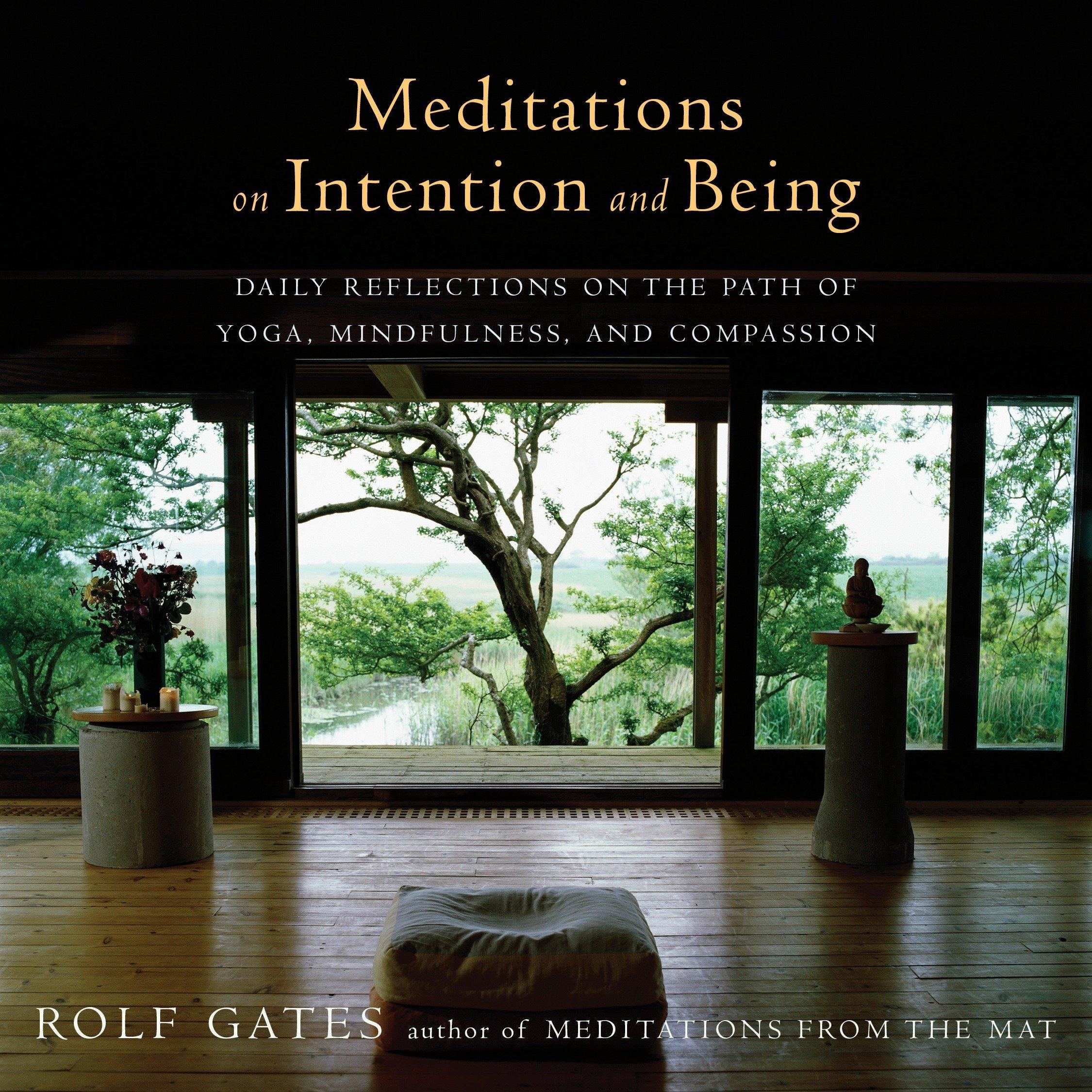 Vorderes Coverbild Meditations on Intention and Being