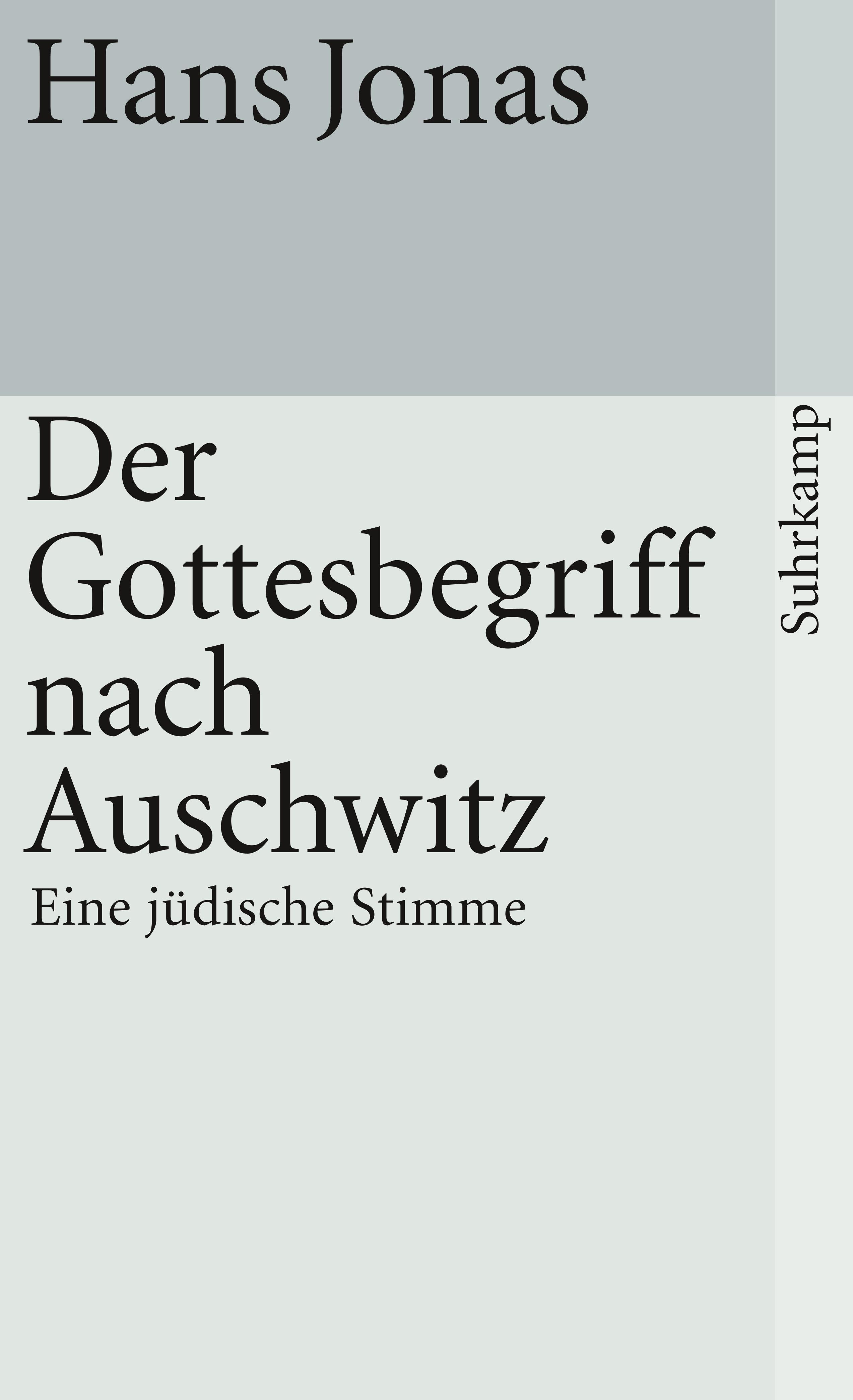 Vorderes Coverbild Der Gottesbegriff nach Auschwitz