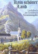 Vorderes Coverbild Kein schöner Land. Gesamtausgabe. Großdruck