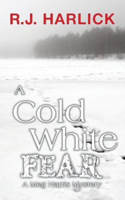Vorderes Coverbild A Cold White Fear