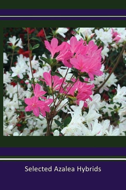 Vorderes Coverbild Selected Azalea Hybrids